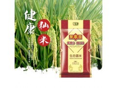 现代畜牧业与渔业的绿色转型 微生物制剂与饲料营养的协同创新