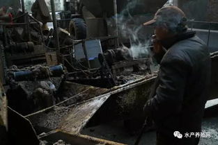 水产养殖快速扩张导致渔业资源枯竭 近海无鱼
