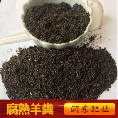 现代大农业全产业链概览 从蔬菜水果到畜牧渔业的协同发展