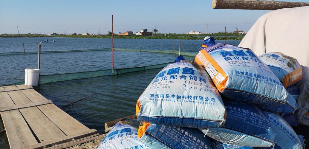 好饲料，海皇造 海皇养殖户的渔生活与畜牧渔业饲料之道